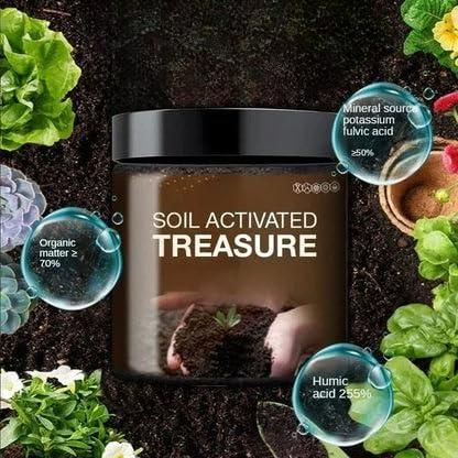 Soil Activated Treasure Premium Soil Activator  (Pack of 2)